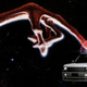 Illustration for article titled Why A Car Is The Best Thing We Can Send To The Aliens